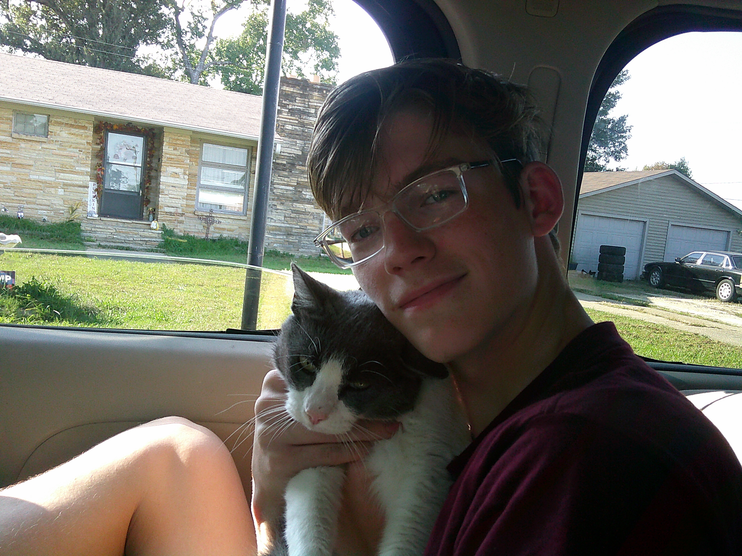 My cat Ashes